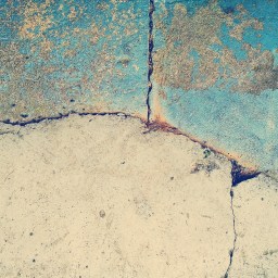 Show Me What You Got!